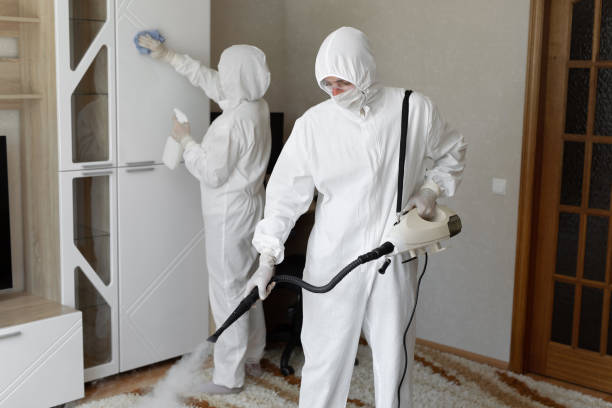 Best Toxic Mold Removal  in Dearborn, MI