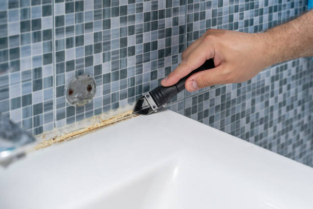 Best Certified Mold Removal  in Dearborn, MI